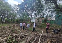 Rescata Ayuntamiento área verde en el fraccionamiento Los Pinos