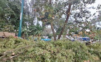 Mantiene Ayuntamiento vigilancia por evento de norte; se reportan incidentes menores